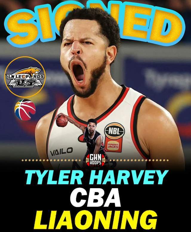 世界杯直播观看软件-单场33+11超级外援正式重返CBA！辽篮抢人成功，能否补强最大短板